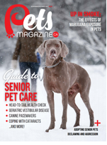 Thirty year old Pets Magazine